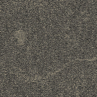 DL907 Carpet Tile In Basalt