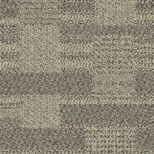 DL923 Carpet Tile In Graphite