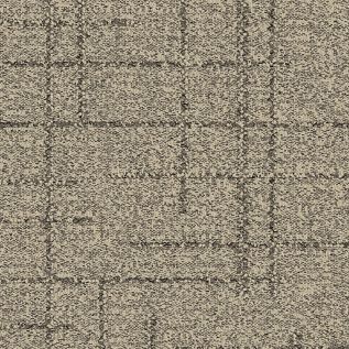 DL925 Carpet Tile In Shell