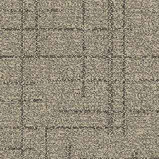 DL925 Carpet Tile In Shell image number 3