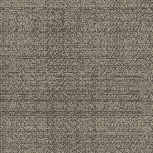 DL926N Carpet Tile In Pecan