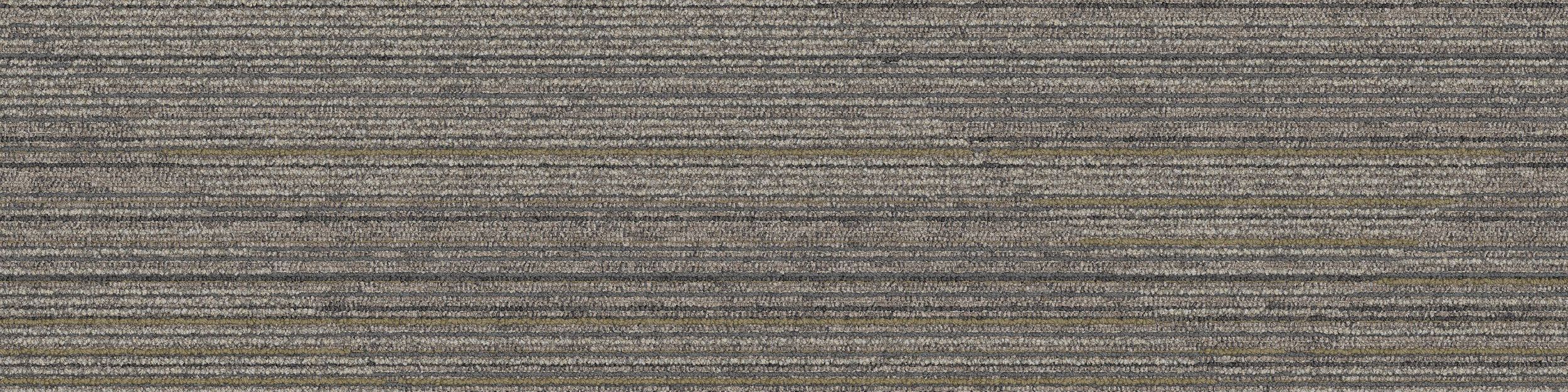 Driftwood Carpet Tile In Leyland image number 2