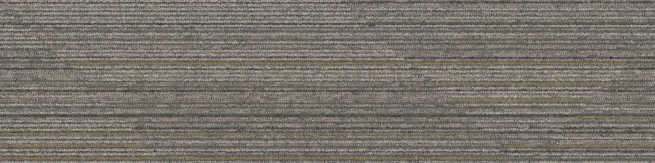 Driftwood Carpet Tile In Leyland imagen número 11