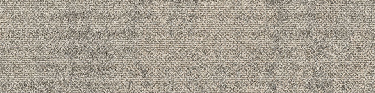 Dry Bark carpet tile in Desert Neutral