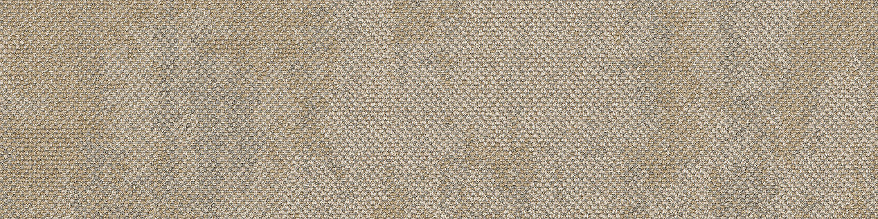 Dry Bark carpet tile in Freshwater Neutral Bildnummer 4