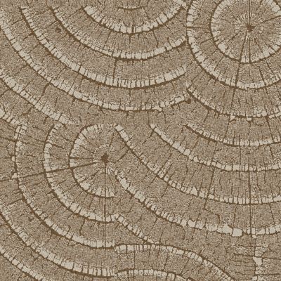 EE710 Carpet Tile in Clay