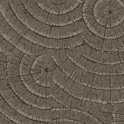 EE710 Carpet Tile in Earth