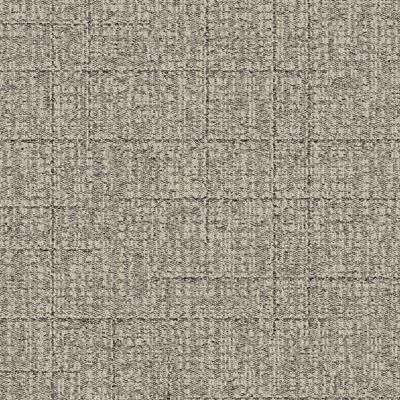 EE712 Carpet Tile in Fossil