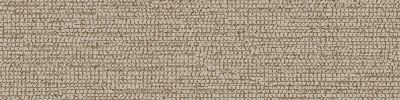 EE715 Carpet Tile in Clay