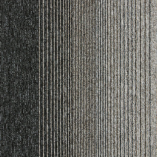 Employ Lines Carpet Tile In Formation