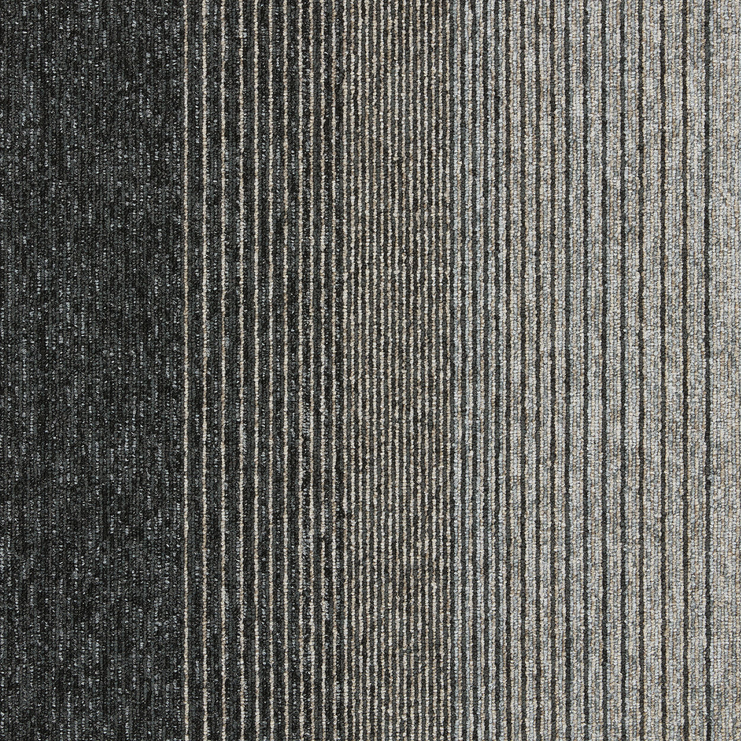 Employ Lines Carpet Tile In Formation Bildnummer 9