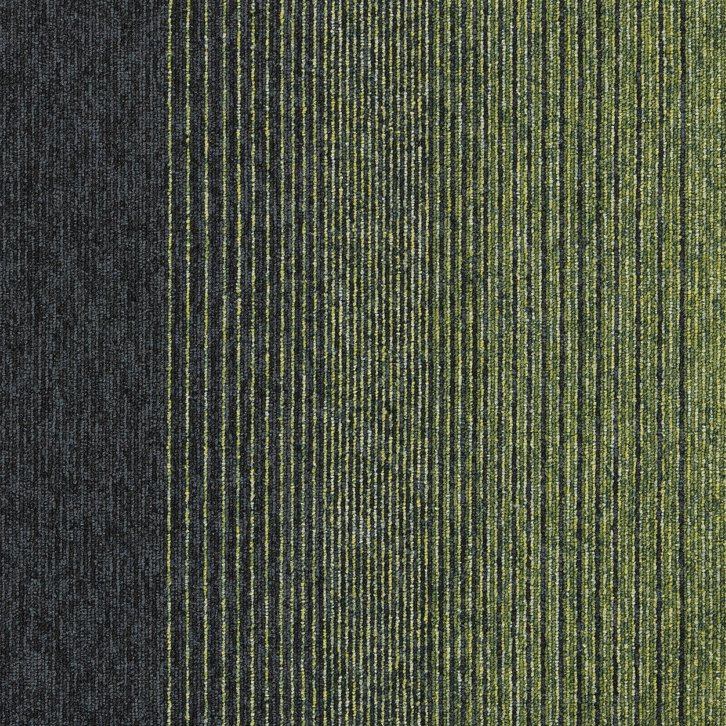 Employ Lines Carpet Tile In Meadow image number 9