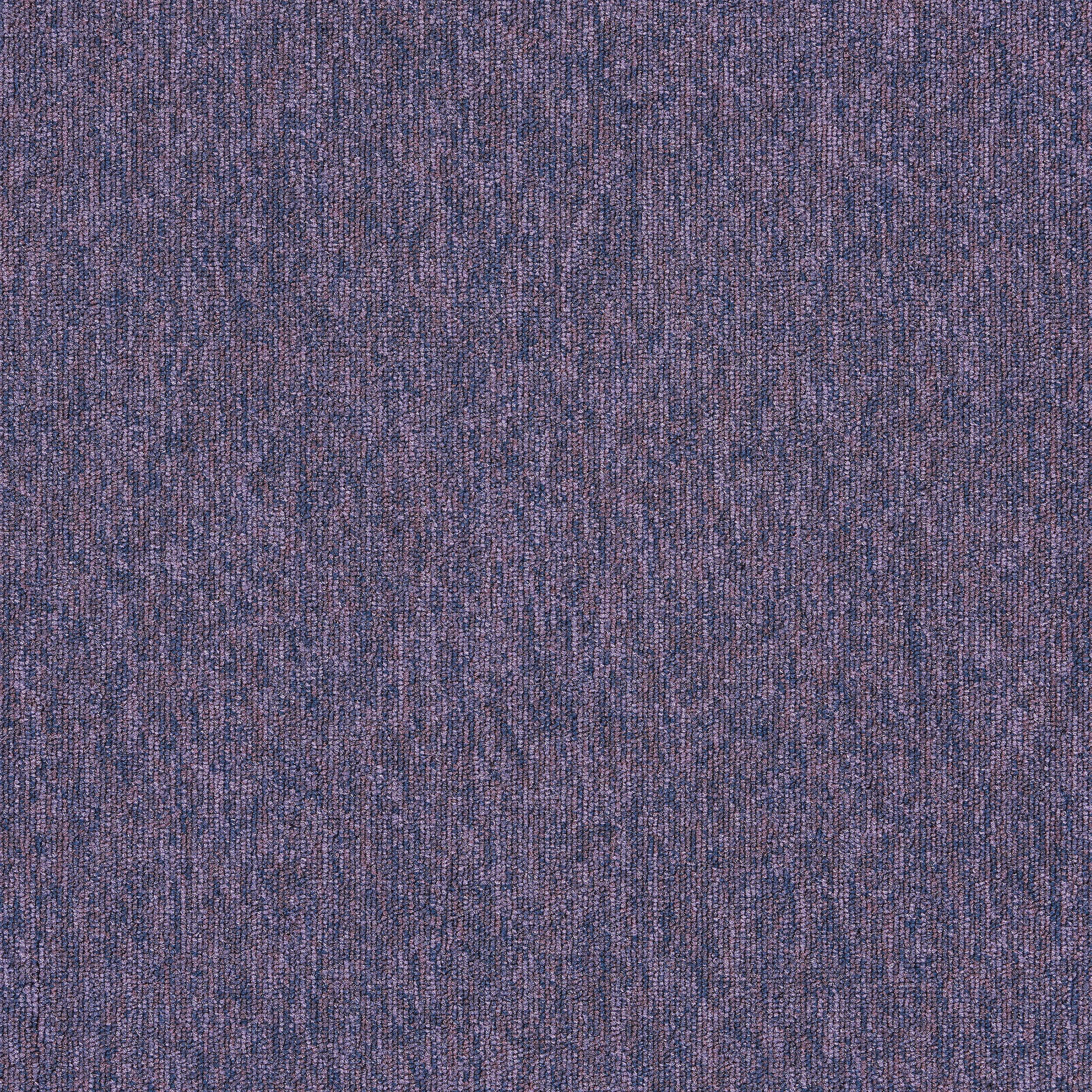 Employ Loop Carpet Tile In Lavender image number 18