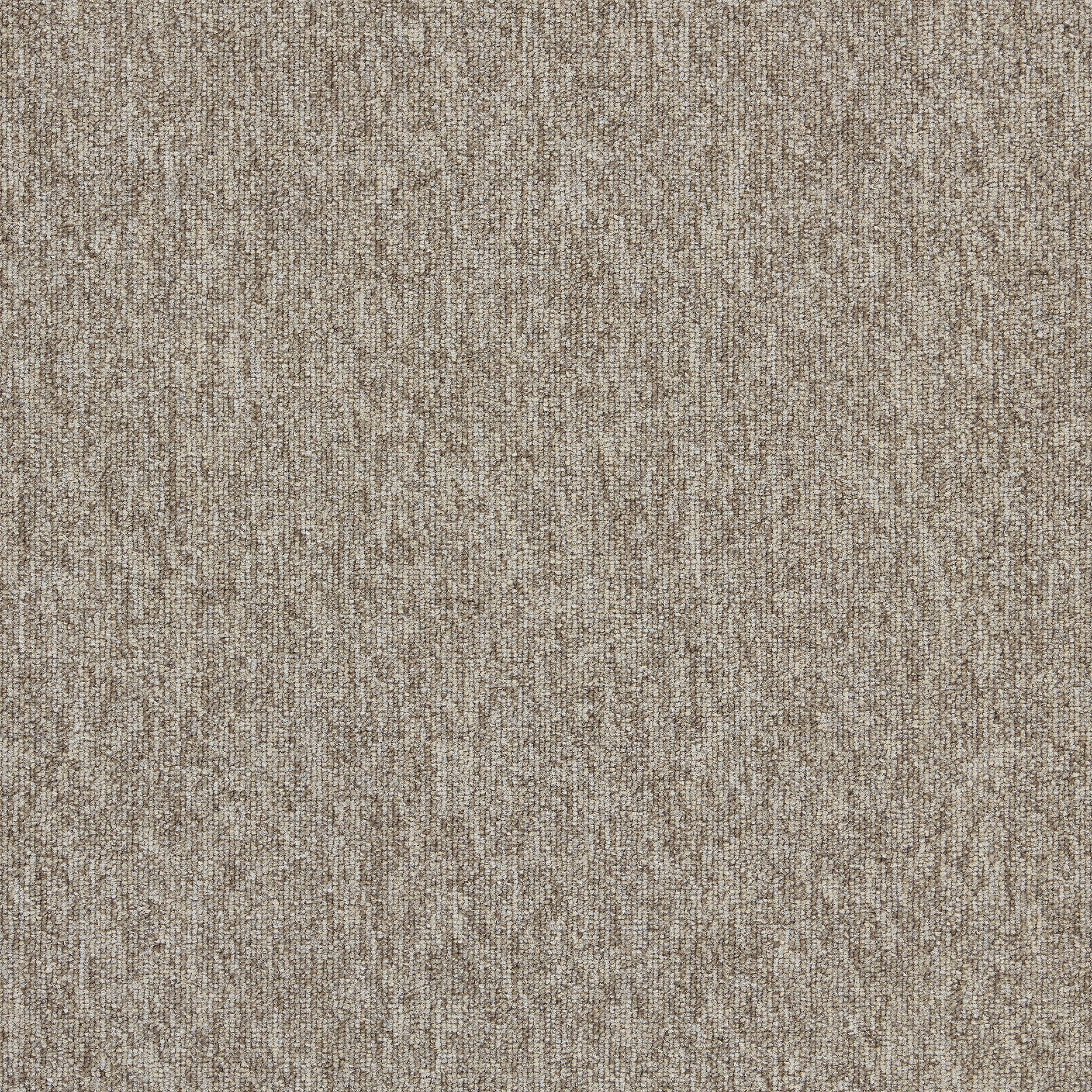 Employ Loop Carpet Tile In Truffle image number 16