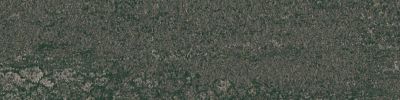 Ferris Carpet Tile in Forest