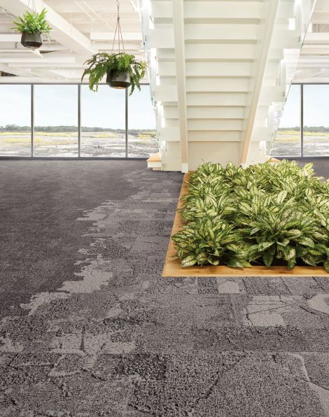 Interface Bridge Creek, Flat Rock and Mountain Rock in lobby with stairwell and plants imagen número 3