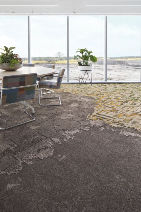 Interface Flat Rock, Bridge Creek, Mountain Rock and Panola Mountain carpet tile in meetiing room with large windows and green plants imagen número 6