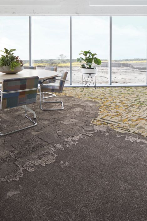 Interface Flat Rock, Bridge Creek, Mountain Rock and Panola Mountain carpet tile in meetiing room with large windows and green plants numéro d’image 10