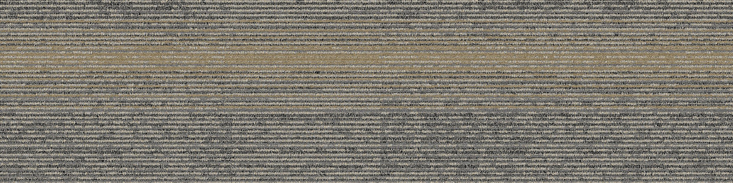 FT520 Carpet Tile In Ambient image number 6