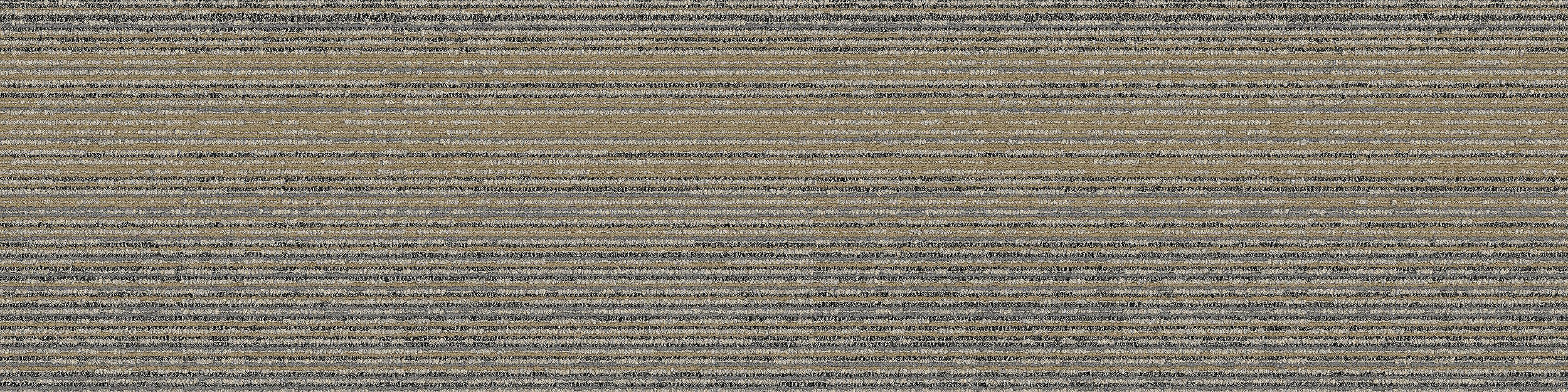 FT530 Carpet Tile In Ambient image number 3