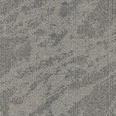 Hard Truth Carpet Tile in Flint