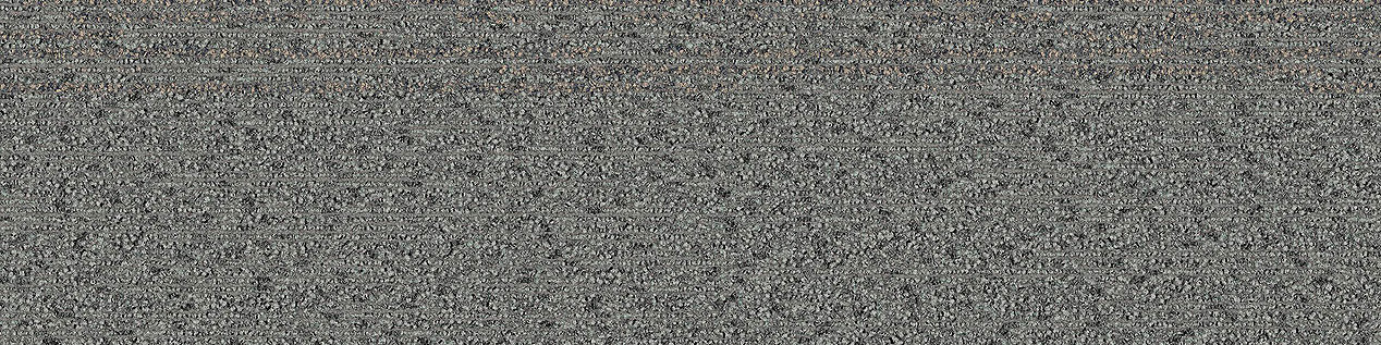 Harmonize Carpet Tile in Pewter imagen número 7