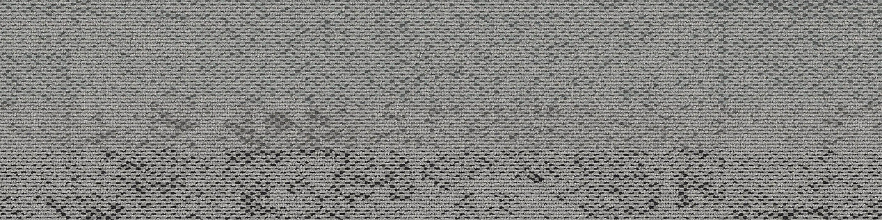 HN820 Carpet Tile In Limestone imagen número 7