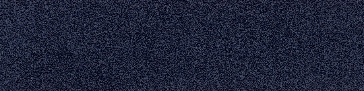 HN830 Carpet Tile In Cobalt imagen número 10