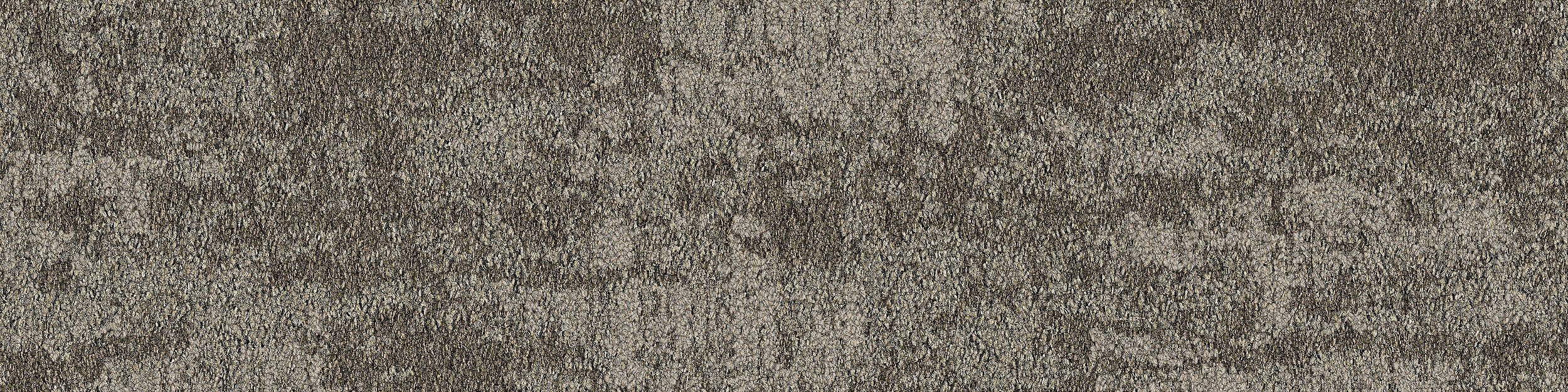 Just Deserts Carpet Tile in Yucca numéro d’image 5