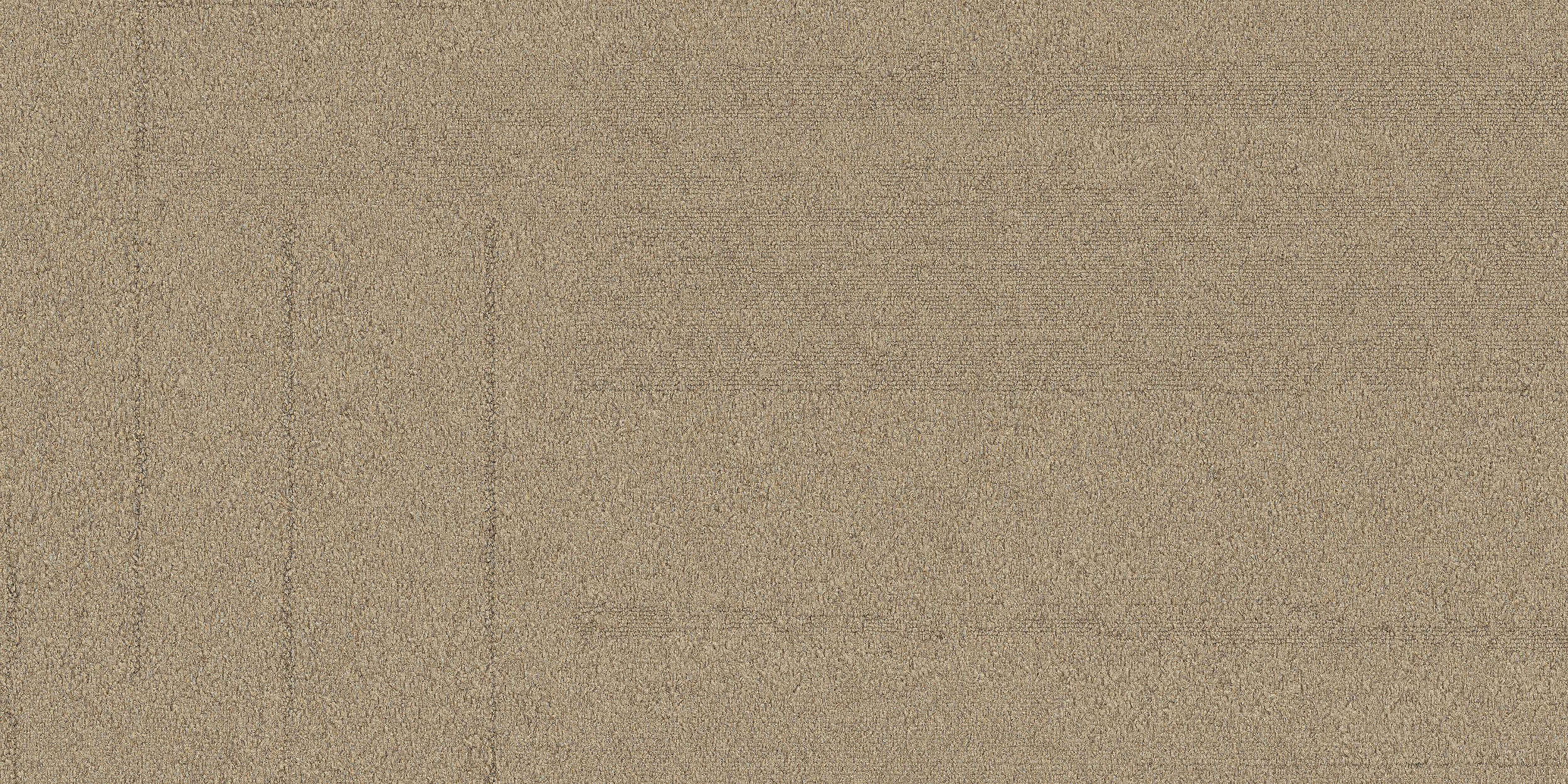 LC01 Carpet Tile in 010339-001 image number 3