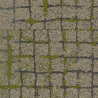 Moss In Stone Carpet Tile In Granite Edge
