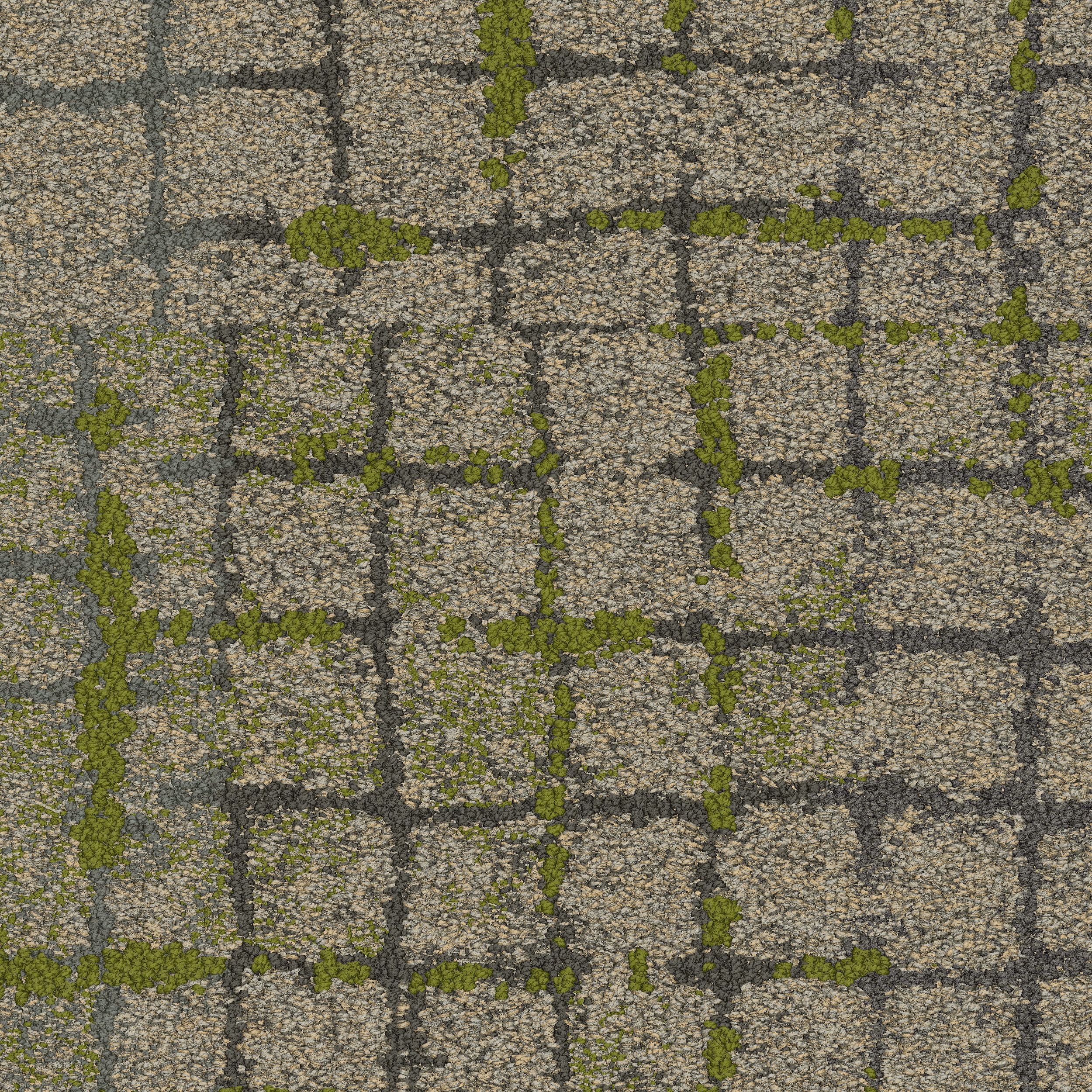 Moss In Stone Carpet Tile In Granite Edge image number 2