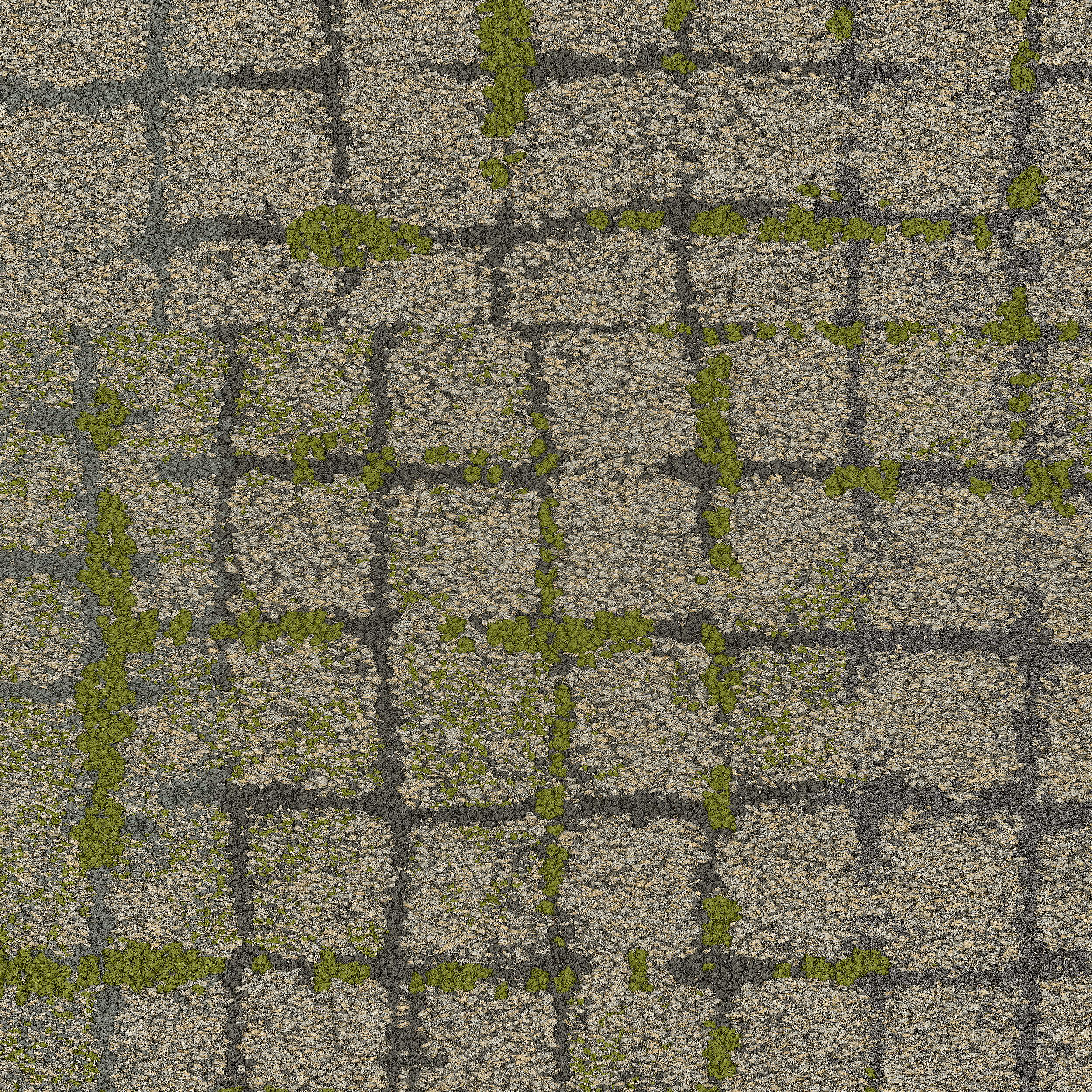 Moss In Stone Carpet Tile In Granite Edge afbeeldingnummer 5