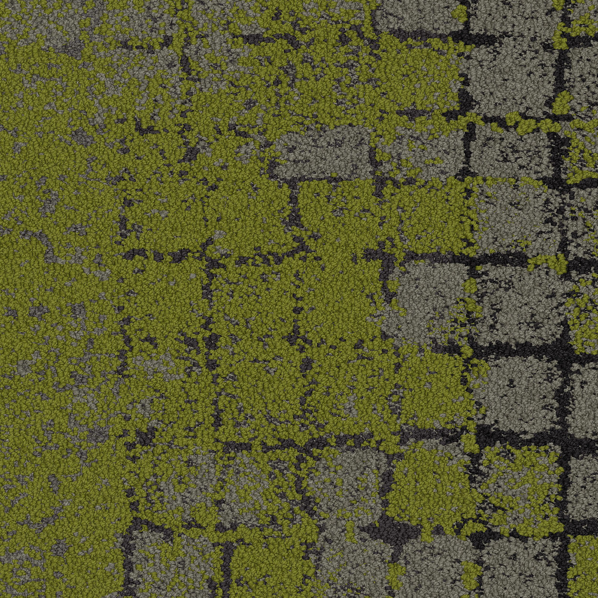 Moss Carpet Tile In Flint/Moss afbeeldingnummer 2