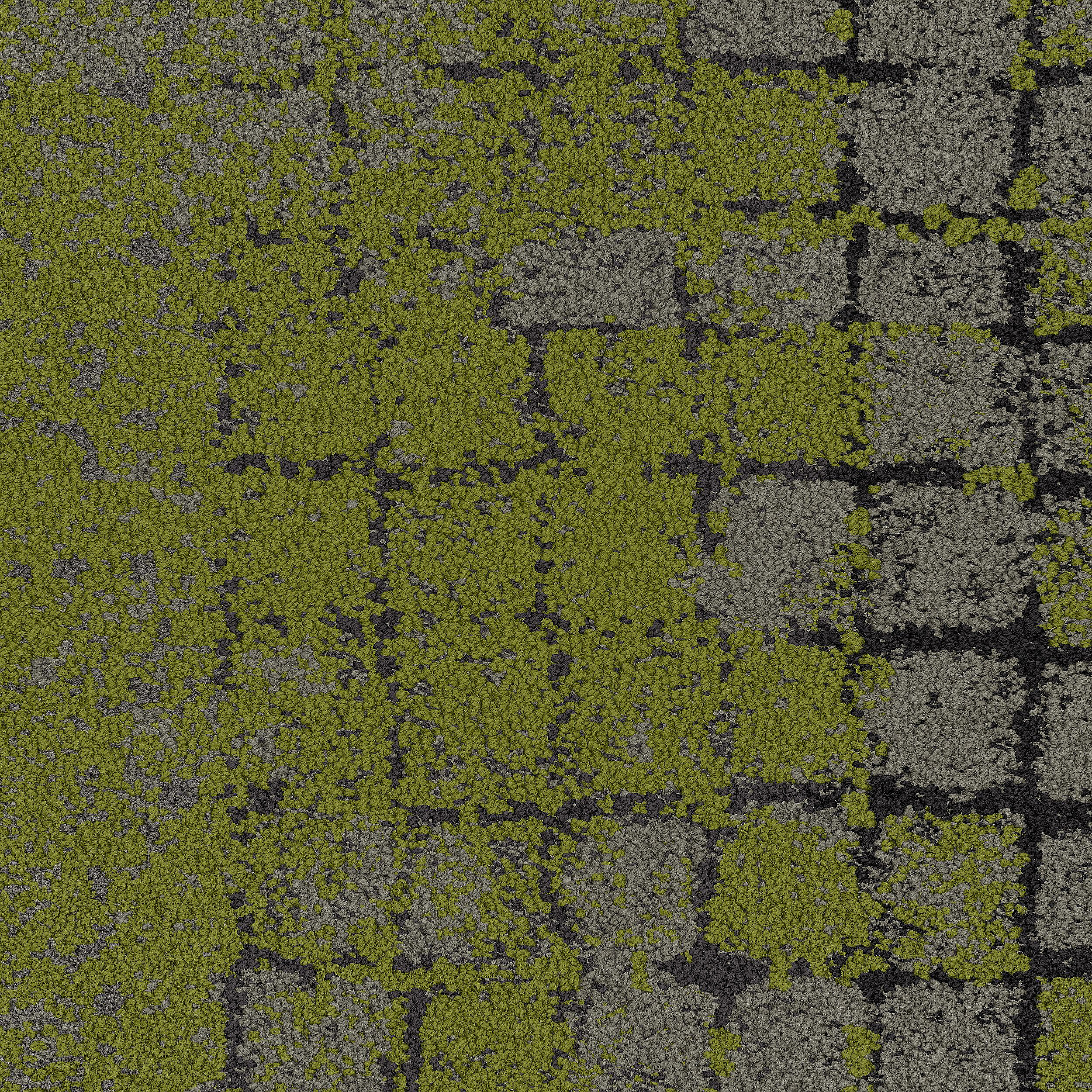 image Moss Carpet Tile In Flint/Moss numéro 5