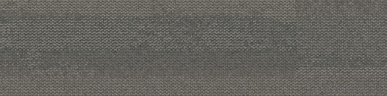 Naturally Weathered Carpet Tile In Greystone image number 2