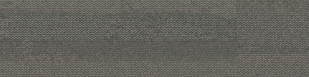 Naturally Weathered Carpet Tile In Greystone image number 10