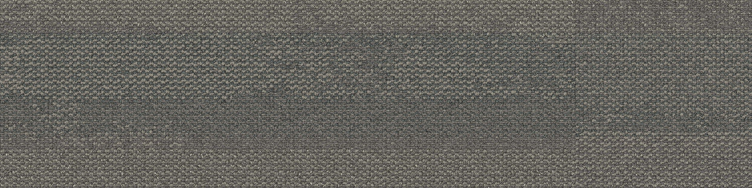 Naturally Weathered Carpet Tile In Greystone image number 10