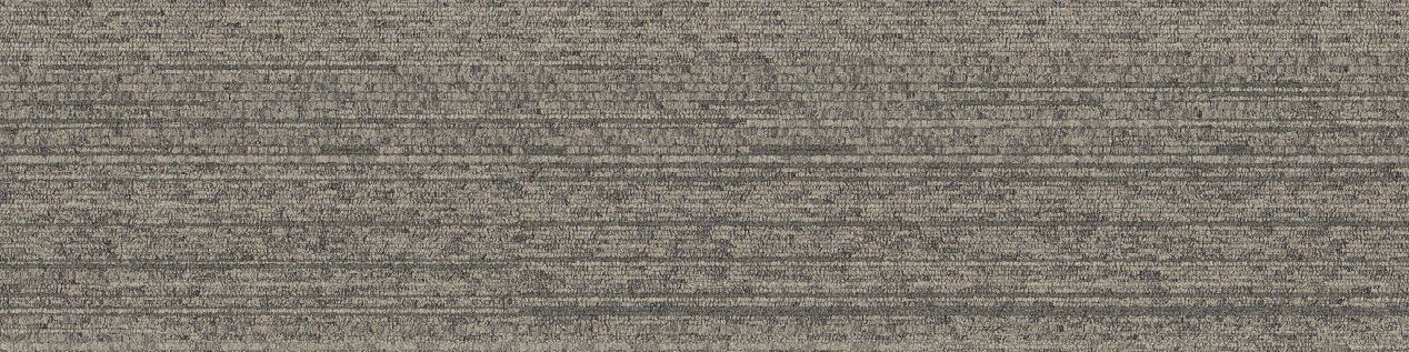NF400 Carpet Tile In Driftwood número de imagen 2