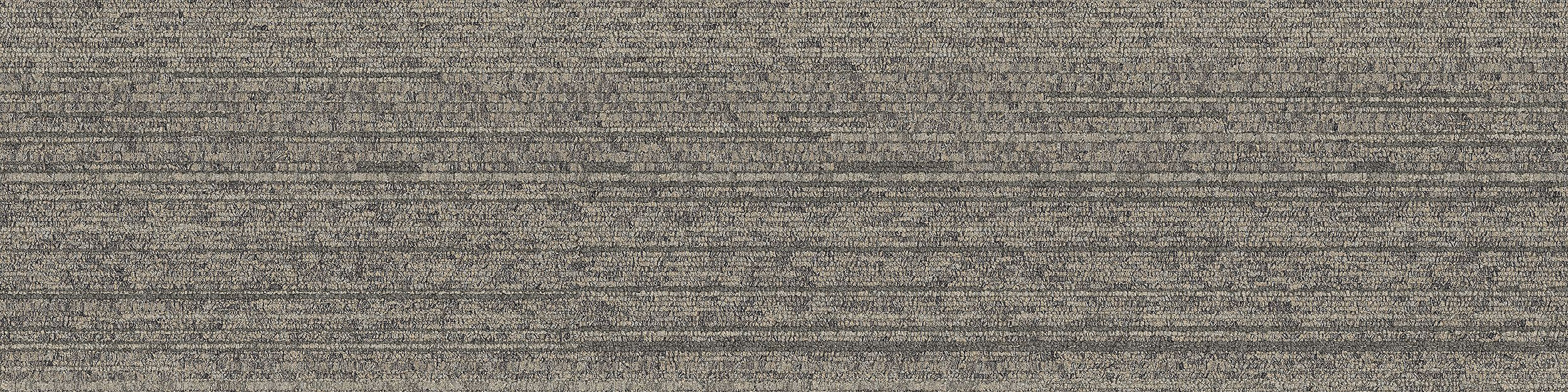NF400 Carpet Tile In Driftwood imagen número 12