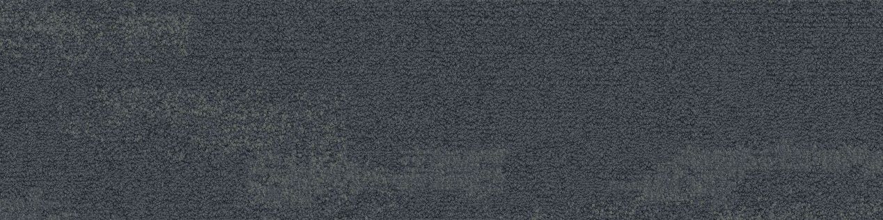 NF401 Carpet Tile In Shale numéro d’image 2