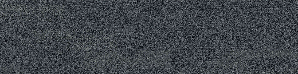NF401 Carpet Tile In Shale