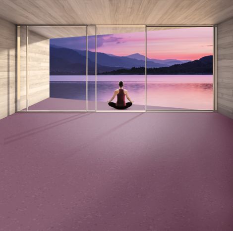 noraplan sentica rubber flooring in yoga studio 图像编号 4