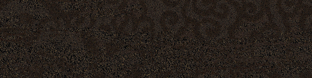 NS230 Carpet Tile In Fennel imagen número 2