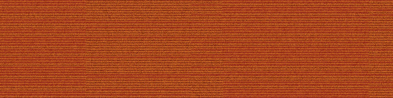 On Line Carpet Tile In Persimmon image number 14