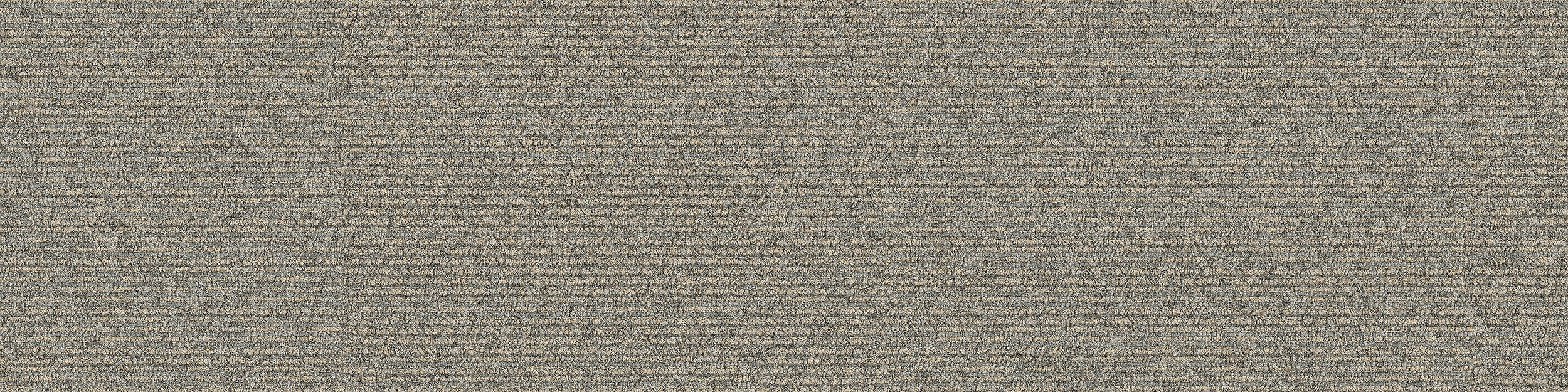 On Line Carpet Tile In Pigeon imagen número 14