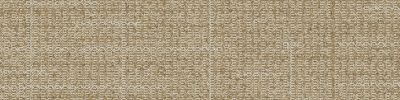 Open Air 401 Carpet Tile in Buckwheat