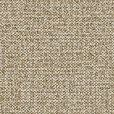 Open Air 415 Carpet Tile in Buckwheat