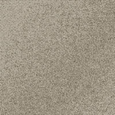 Open Air 416 Carpet Tile in Sawgrass