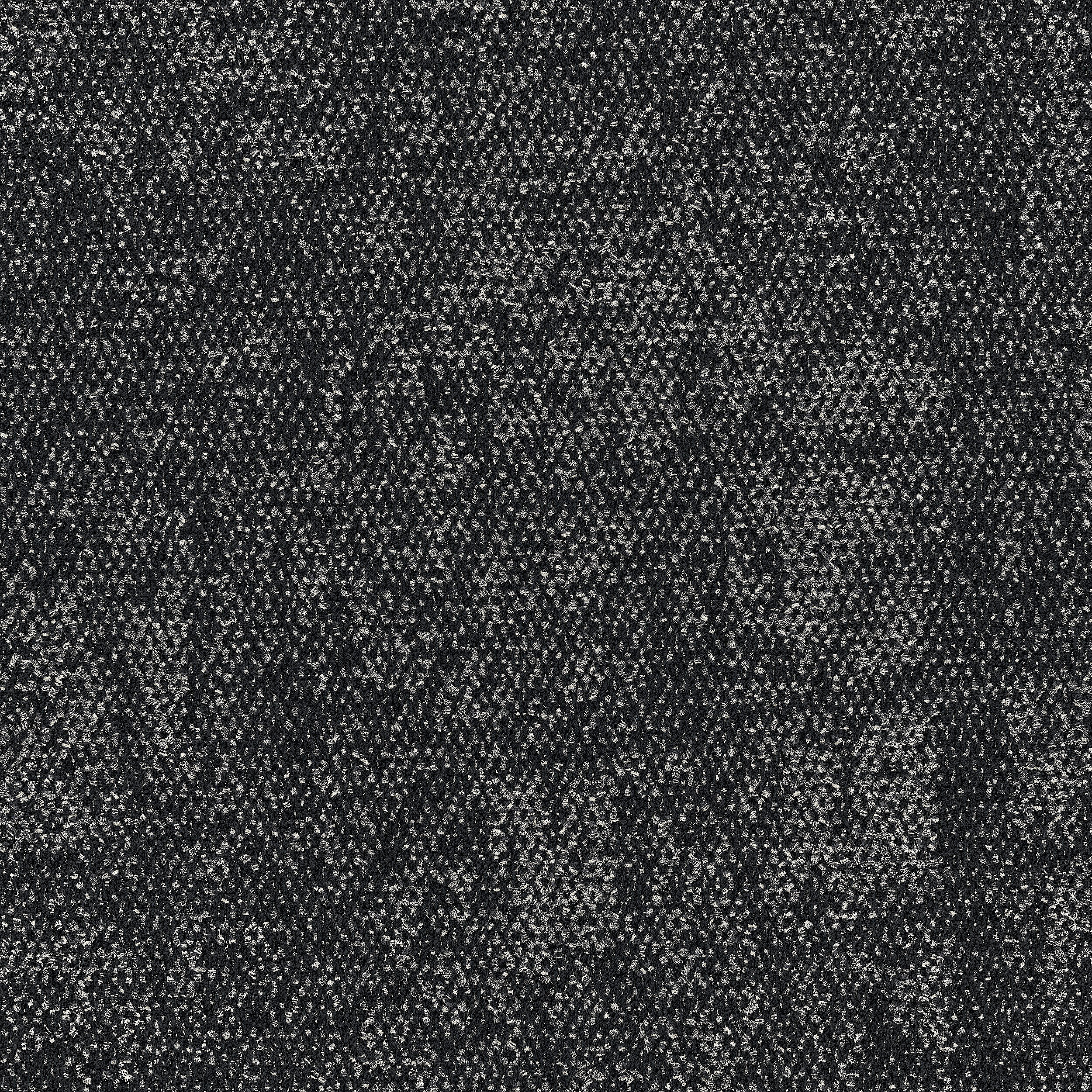 Open Air 419 Carpet Tile In Black imagen número 5